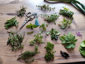 Events 1000105461 300x225